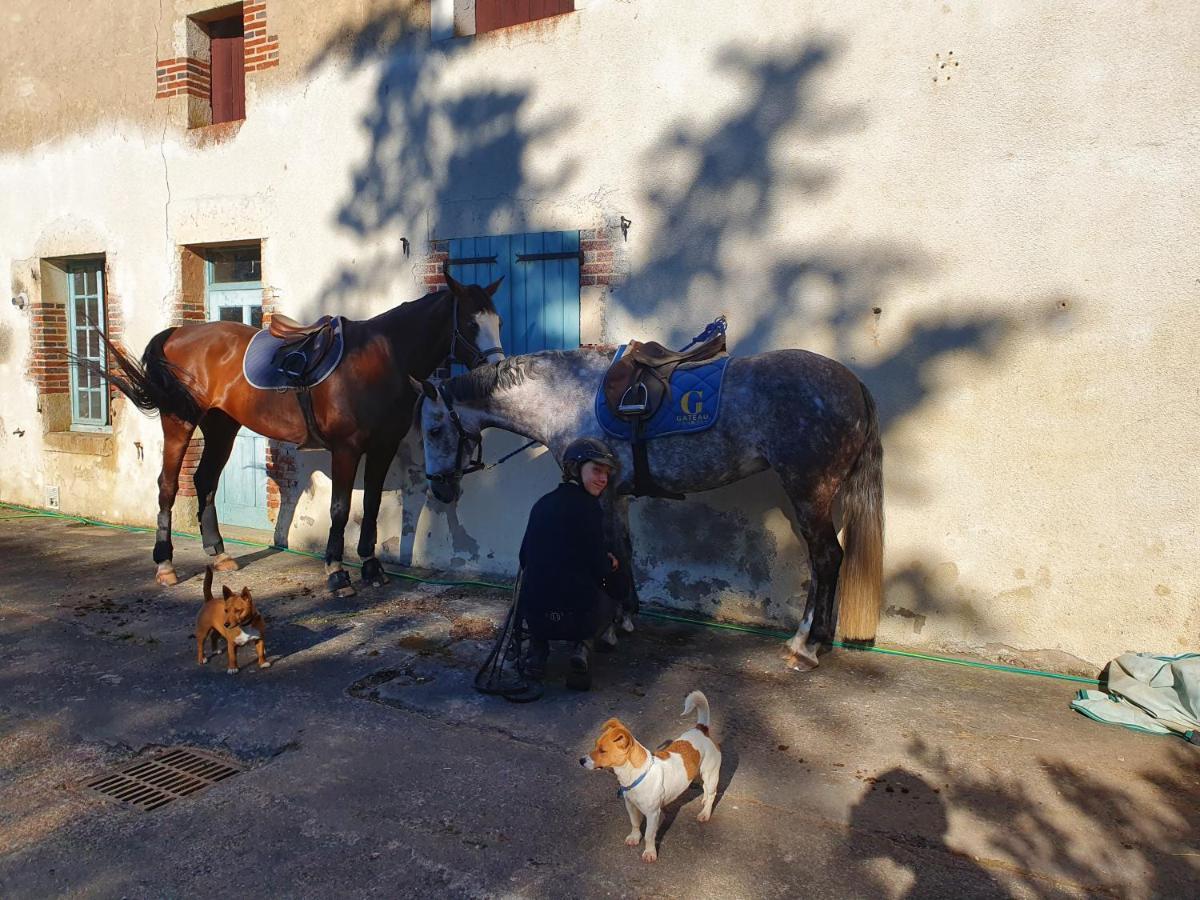 Ferme Equestre & Chambres D'Hotes Gateau Stables Proche Guedelon Saint-Amand-en-Puisaye Exterior foto