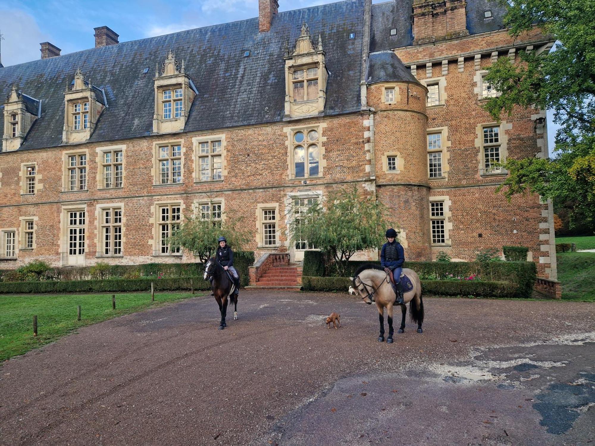 Ferme Equestre & Chambres D'Hotes Gateau Stables Proche Guedelon Saint-Amand-en-Puisaye Exterior foto